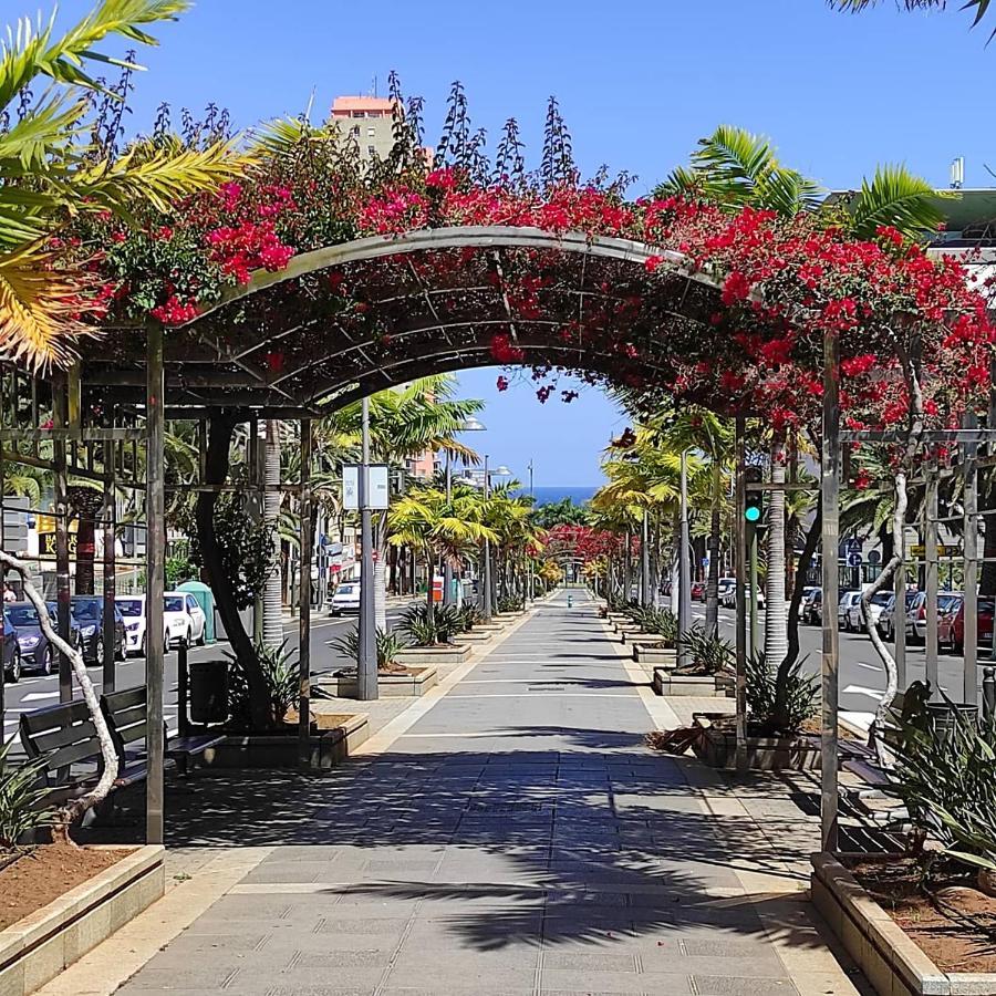 סנטה קרוז דה טנריף Apartamento Bien Situado - Buenas Conexiones מראה חיצוני תמונה